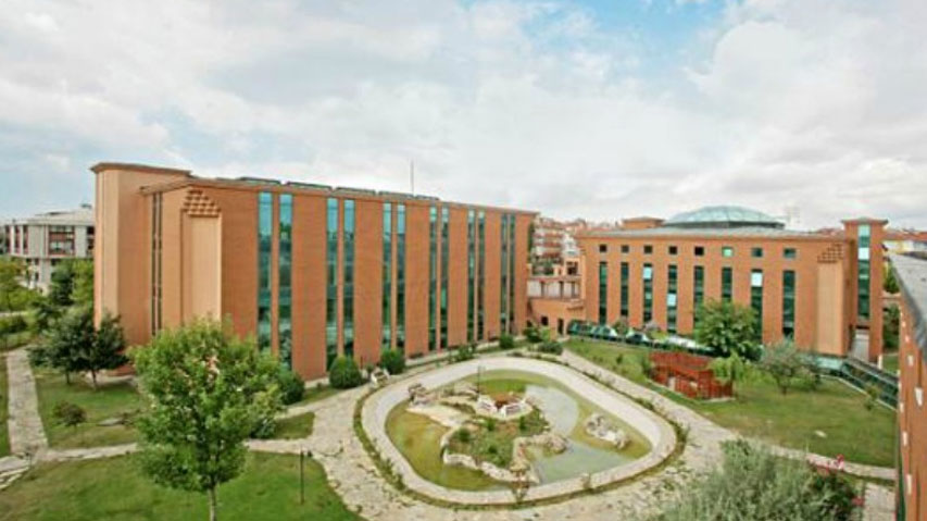 İstanbul 29 Mayıs Üniversitesi